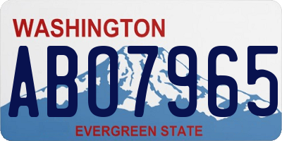 WA license plate ABO7965