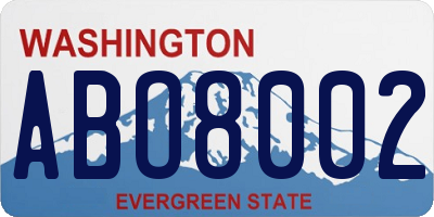 WA license plate ABO8002