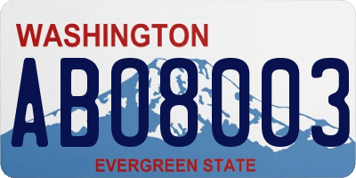 WA license plate ABO8003