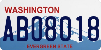 WA license plate ABO8018