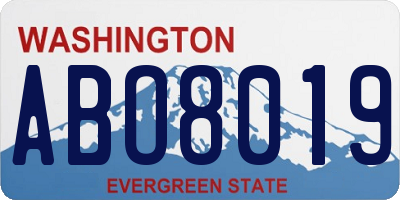 WA license plate ABO8019