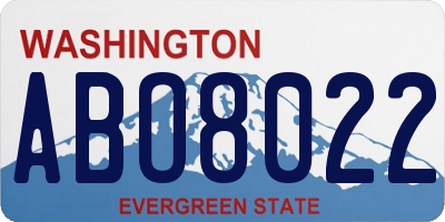 WA license plate ABO8022