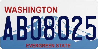 WA license plate ABO8025