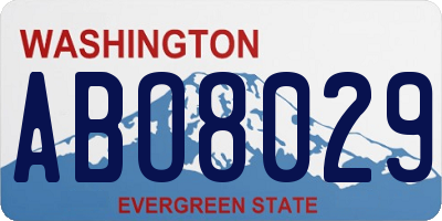 WA license plate ABO8029