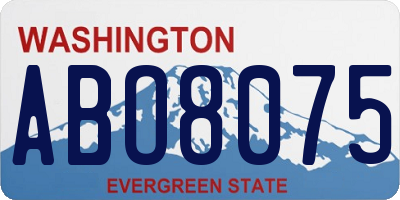 WA license plate ABO8075