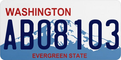 WA license plate ABO8103