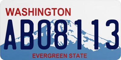 WA license plate ABO8113