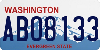 WA license plate ABO8133