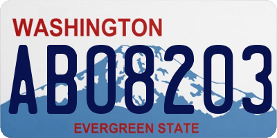 WA license plate ABO8203