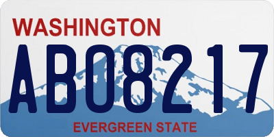 WA license plate ABO8217