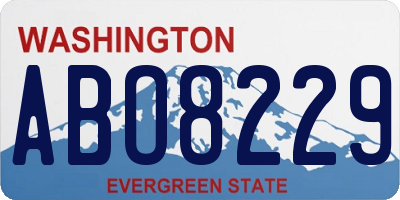 WA license plate ABO8229