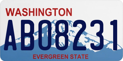 WA license plate ABO8231