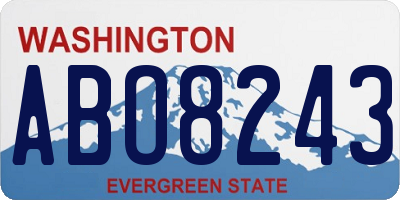 WA license plate ABO8243