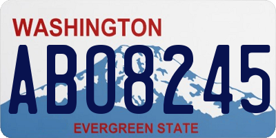 WA license plate ABO8245
