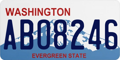 WA license plate ABO8246