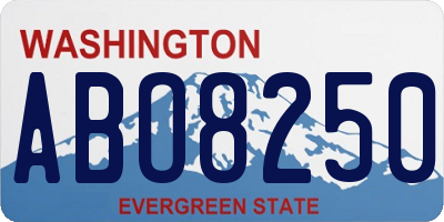 WA license plate ABO8250