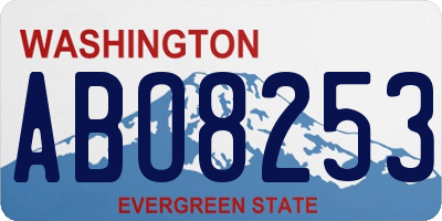 WA license plate ABO8253
