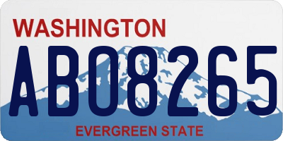 WA license plate ABO8265