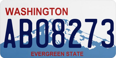 WA license plate ABO8273