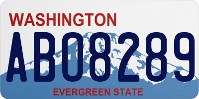 WA license plate ABO8289