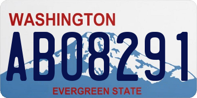 WA license plate ABO8291
