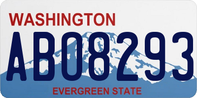 WA license plate ABO8293