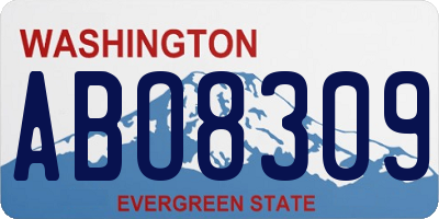 WA license plate ABO8309