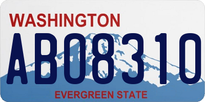 WA license plate ABO8310