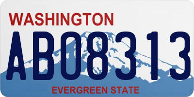WA license plate ABO8313