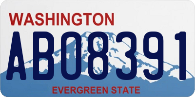 WA license plate ABO8391