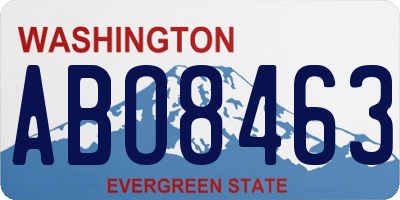 WA license plate ABO8463