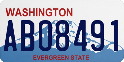 WA license plate ABO8491