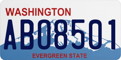 WA license plate ABO8501