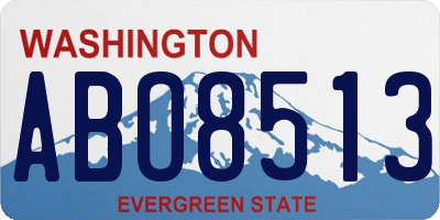 WA license plate ABO8513