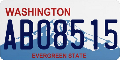 WA license plate ABO8515