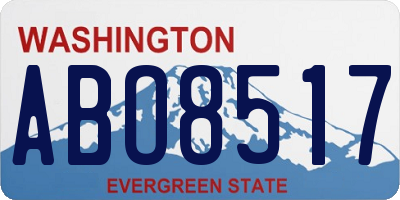 WA license plate ABO8517