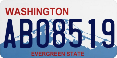 WA license plate ABO8519