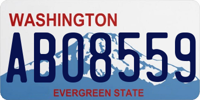 WA license plate ABO8559