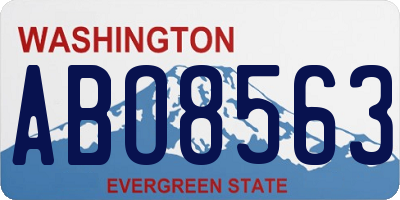 WA license plate ABO8563