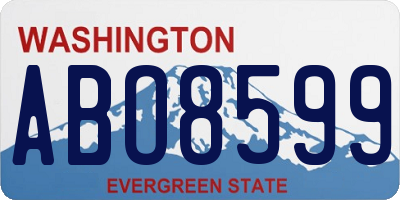 WA license plate ABO8599