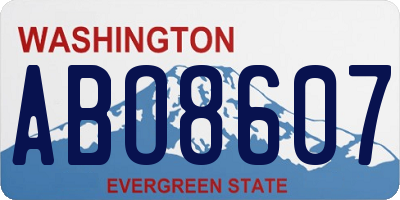 WA license plate ABO8607