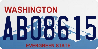 WA license plate ABO8615