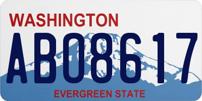 WA license plate ABO8617