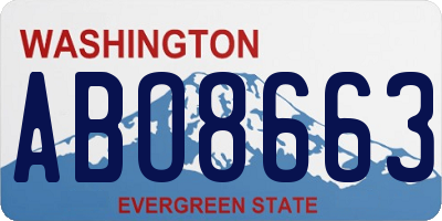 WA license plate ABO8663