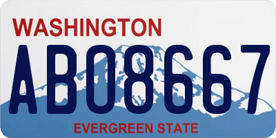 WA license plate ABO8667