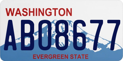 WA license plate ABO8677