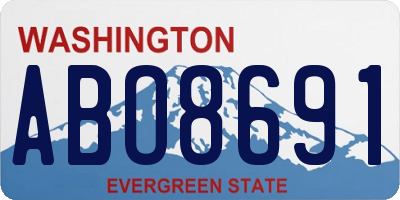 WA license plate ABO8691