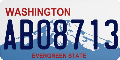 WA license plate ABO8713