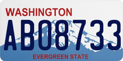 WA license plate ABO8733