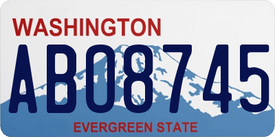 WA license plate ABO8745